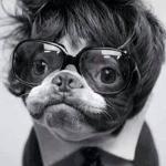 Might Bites Station Takeaway